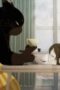 The Masterful Cat Is Depressed Again Today Season 1 Episode 5