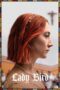 Nonton Film Lady Bird (2017) Nonton Film Lady Bird (2017)
